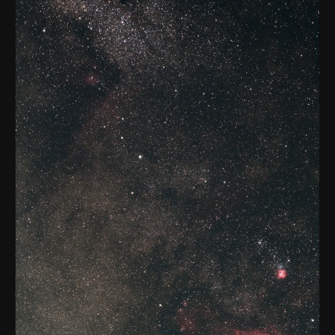 M8からバンビの横顔　 2024/06/12