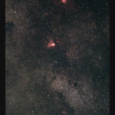 バンビの横顔からM16　 2024/06/12