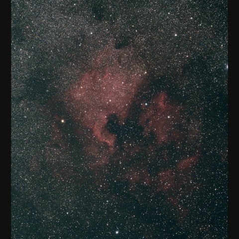 北ペリ　 2024/06/12