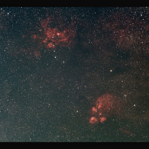 彼岸花星雲と出目金星雲  　8/9