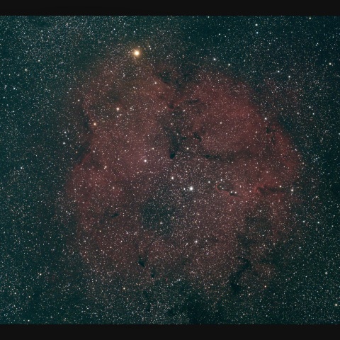  IC1396、ガーネットスター 　8/9