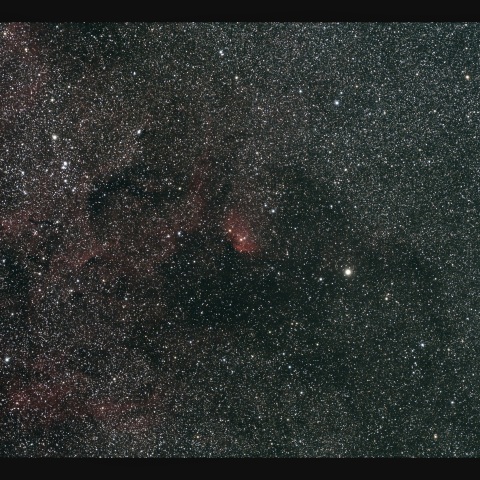 チューリップ星雲　8/11