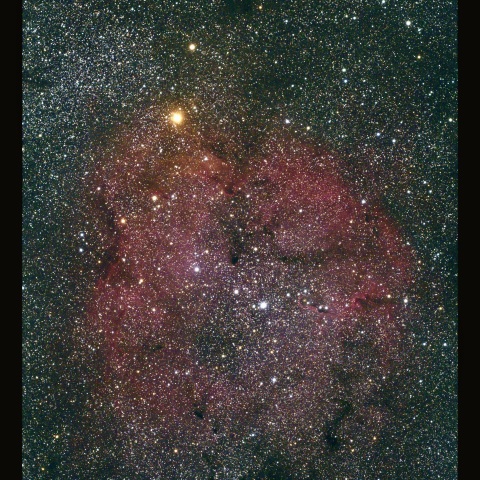 IC1396　9/8