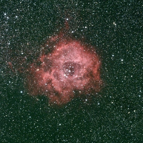 バラ星雲　10/14