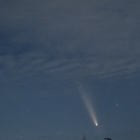 紫金山・アトラス彗星　10/14