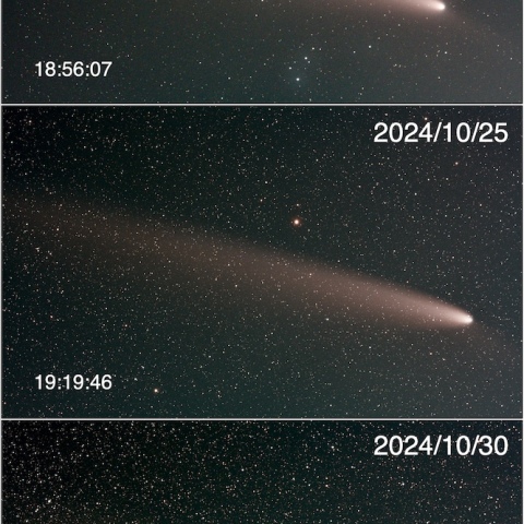 紫金山・アトラス彗星　10/20〜31