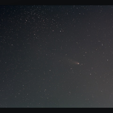 紫金山・アトラス彗星　11/11