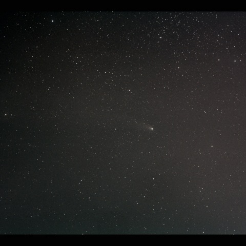 紫金山・アトラス彗星　11/14