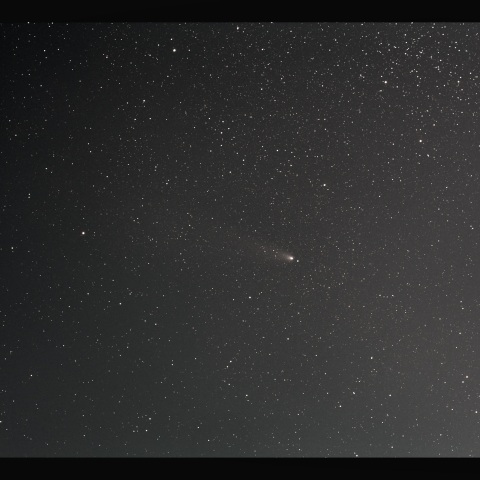 紫金山・アトラス彗星　11/15