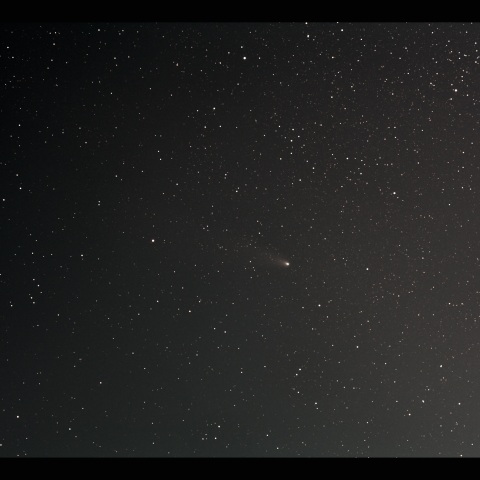 紫金山・アトラス彗星　11/16