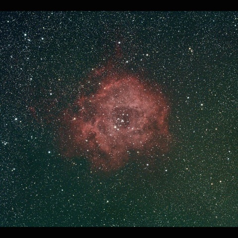 バラ星雲 2025/02/28