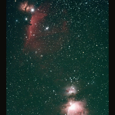 オリオン座中央部　 2025/12/29