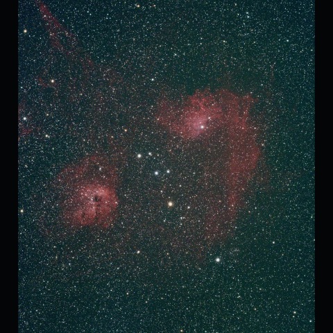 勾玉星雲とおたまじゃくし星雲　 2026/02/14