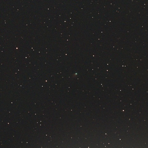 C/2024 E1 (Wierzchos)　2026/02/22