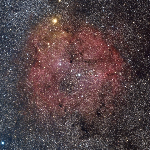 IC1396　2026/08/13