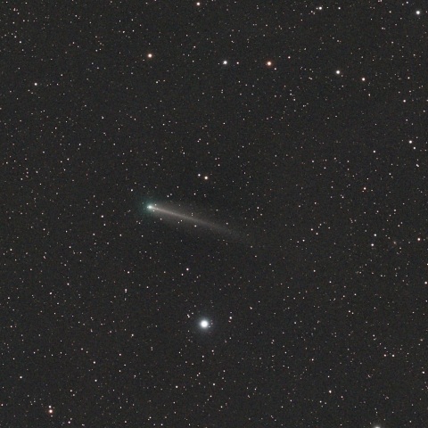 220P/McNaught　2026/08/19