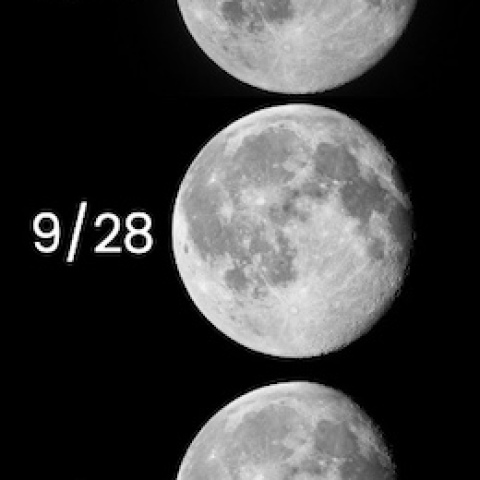 月の満ち欠け 2026/09/22〜10/04