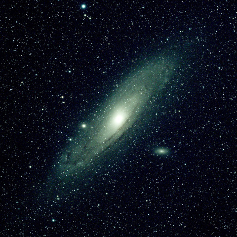 M31