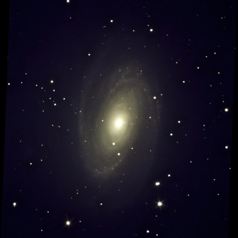M81