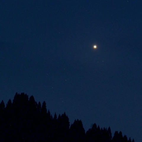 金星とM44の接近　2021.7.3