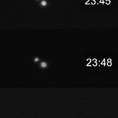 ガリレオ衛星の相互食