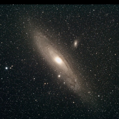 M31
