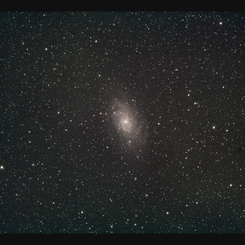 M33