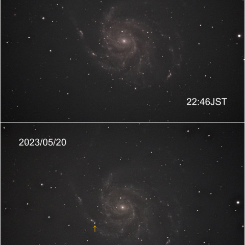M101に出現した超新星 SN2023ixf