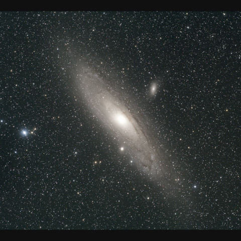 M31