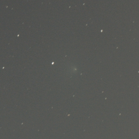 テンペル第2彗星 10P