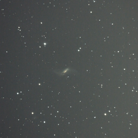 NGC660　極リング銀河
