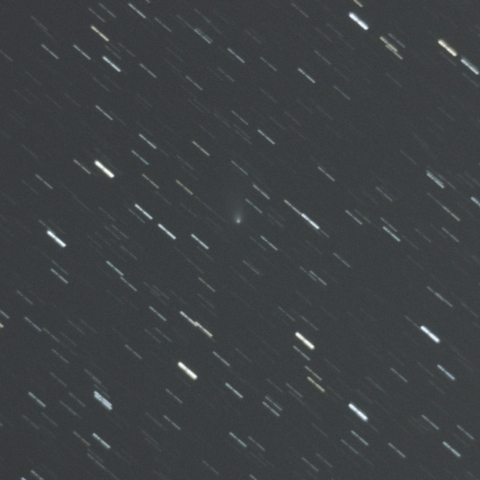 C/2026 A2 Bok