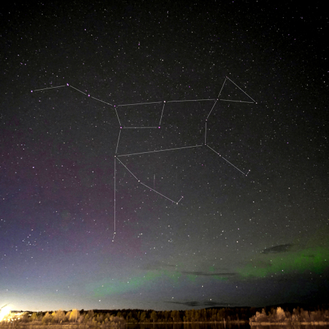 北の大地を歩く大熊座