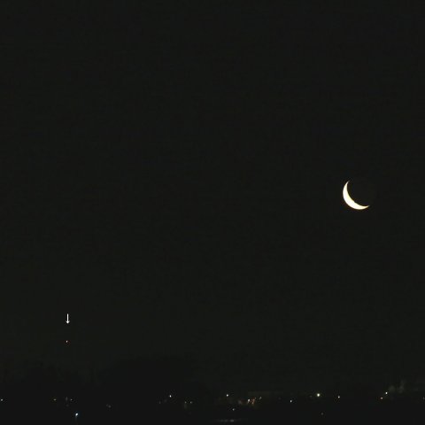 月と金星の接近