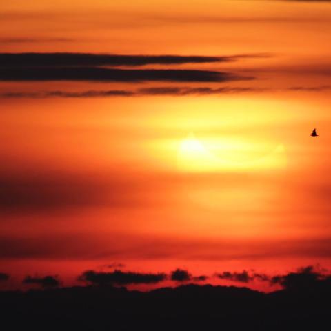 バルセロナ部分日食3