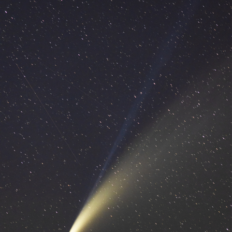 ネオワイズ彗星