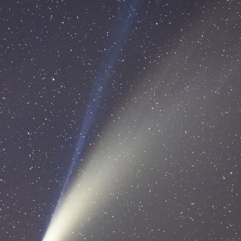 ネオワイズ彗星