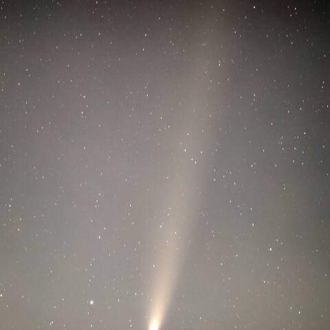 市街地からの紫金山・アトラス彗星