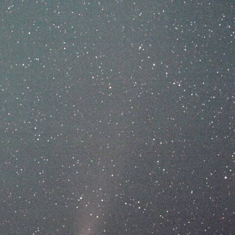 市街地からの紫金山・アトラス彗星