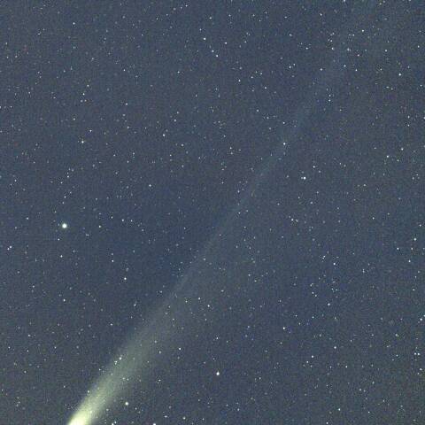 八王子市内からのレモン彗星