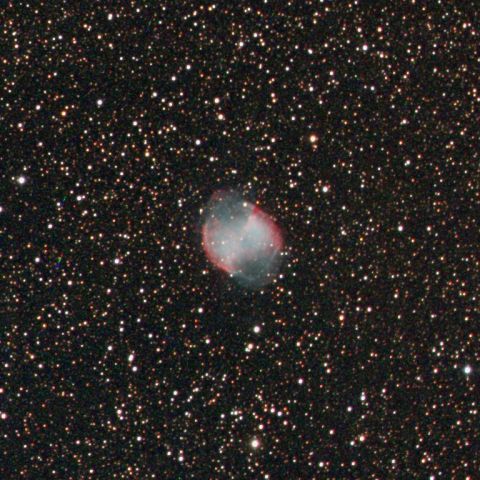 ようやく晴れたので撮影