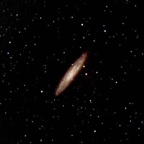 ようやく晴れたので撮影（2）