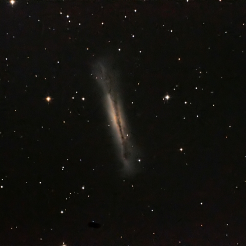 NGC3628