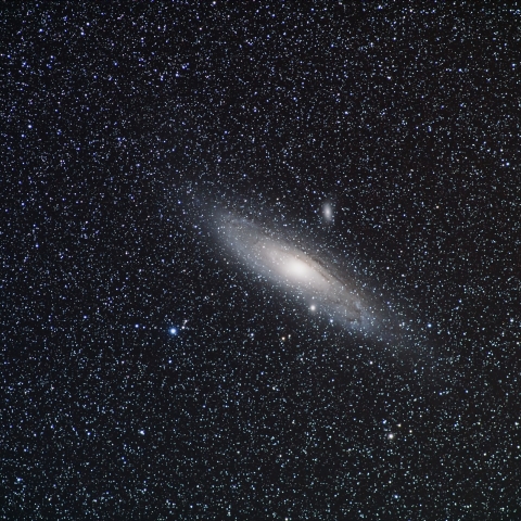 M31