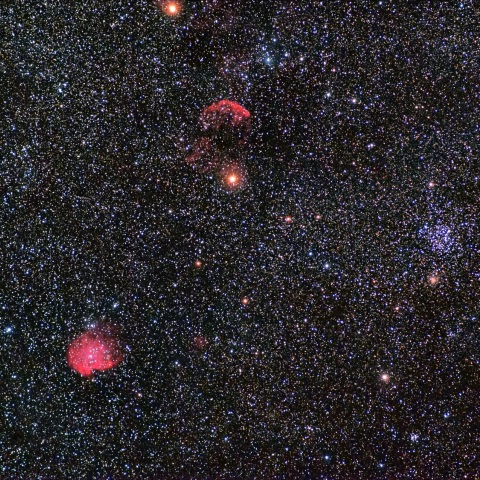 M35 モンキー クラゲ