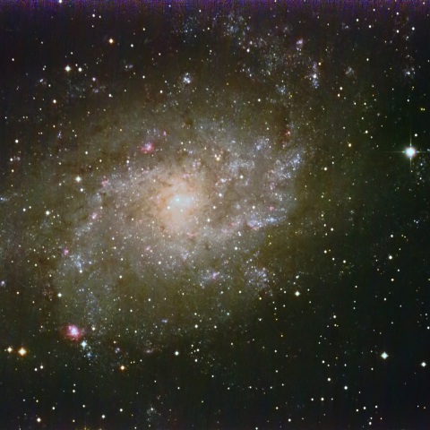 M33