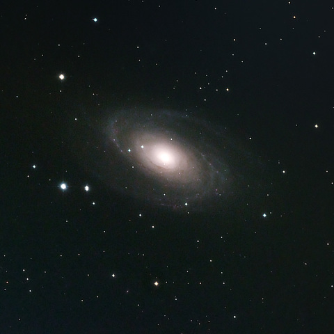 M81