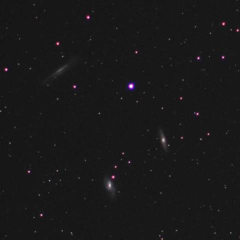 しし座の三つ子銀河 M65 & M66 & NGC3628 