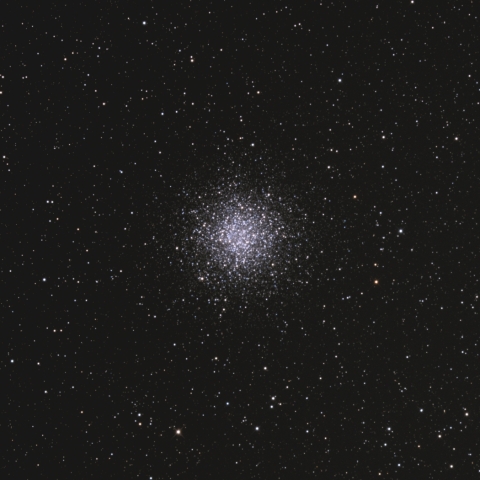 M55