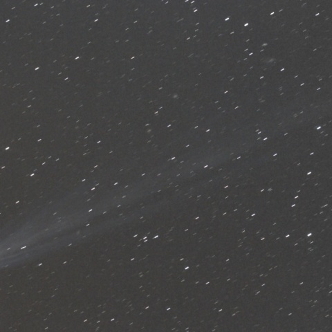 急増光したアイソン彗星